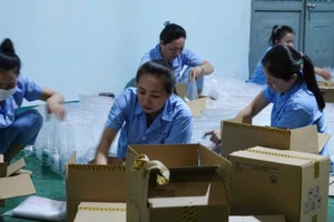 Hàng nghìn túi thuốc được vận chuyển đến Thái Nguyên và Cao Bằng phục vụ công tác khử khuẩn và phòng dịch.