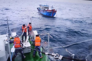 Lực lượng chức năng kêu gọi tàu, thuyền vào nơi tránh bão.