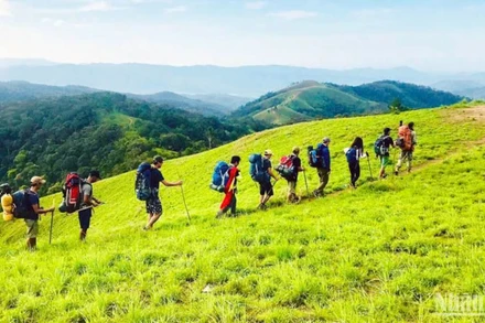 Du khách trải nghiệm cung trekking Tà Năng-Phan Dũng. (Ảnh: MAI VĂN BẢO)