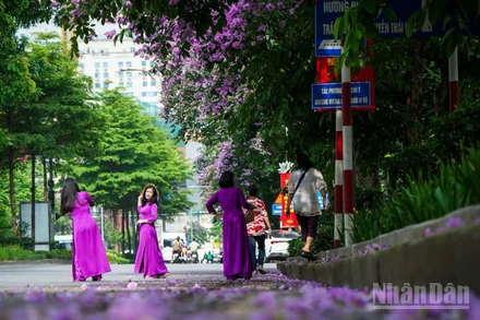 Năm 2026, du khách sẽ tìm đến những trải nghiệm mang lại chiều sâu về cảm xúc, ưu tiên chăm sóc sức khỏe tinh thần sau mỗi chuyến đi. (Ảnh: THÀNH ĐẠT)