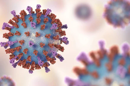 Đức lần đầu phát hiện virus bại liệt hoang dã sau hơn 30 năm