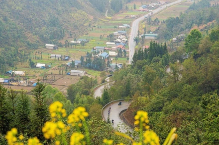 Vẻ đẹp thơ mộng của Cao nguyên đá Đồng Văn - nơi được vinh danh là điểm đến văn hóa cấp địa phương hàng đầu thế giới 2025. (Ảnh: TTXVN)