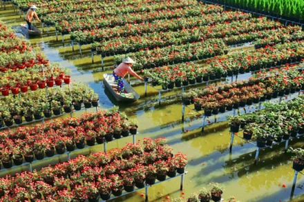 Theo đề xuất của địa phương, dự án ST4SD sẽ triển khai hỗ trợ phát triển sản phẩm và điểm đến bền vững tại khu vực Tam Nông và Sa Đéc, tỉnh Đồng Tháp. (Ảnh: Sở Văn hóa, Thể thao và Du lịch tỉnh Đồng Tháp)