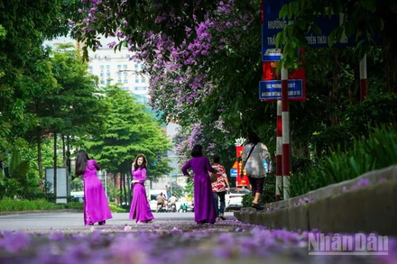 Một góc nhỏ ở Thủ đô Hà Nội. (Ảnh: THÀNH ĐẠT)