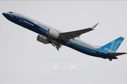 Máy bay Boeing 737. Ảnh tư liệu - minh họa: THX/TTXVN