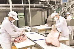 Dây chuyền giết mổ gia súc được đầu tư hiện đại.