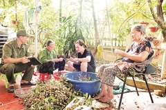 Anh Phạm Văn Cường (ngoài cùng bên trái) thường xuyên đến các hộ dân để nắm bắt tình hình an ninh trật tự cơ sở.