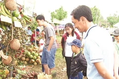 Gian hàng trái cây tại Lễ hội Sông nước miệt vườn ở cồn Mỹ Phước.