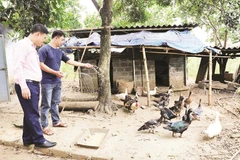 Từ nguồn vốn vay ưu đãi, anh Bùi Văn Hùng ở xã Đà Bắc đã vượt qua mặc cảm, phát triển kinh tế gia đình.