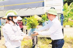 Người dân xã Nghĩa Tá nhận cây keo giống để triển khai trồng rừng. (Ảnh DUY THÁI)