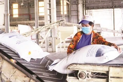 Dây chuyền sản xuất gạo của Công ty cổ phần Nông nghiệp Công nghệ cao Trung An.