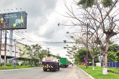 Khu công nghiệp Trà Nóc là nơi thu hút được nhiều nguồn vốn đầu tư trong các lĩnh vực sản xuất công nghiệp, chế biến thực phẩm.