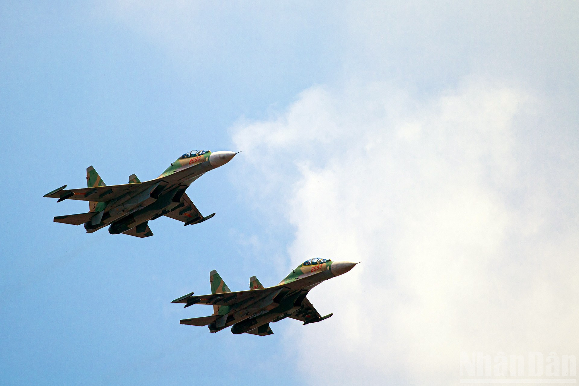 ndo_br_miu-6136.jpg