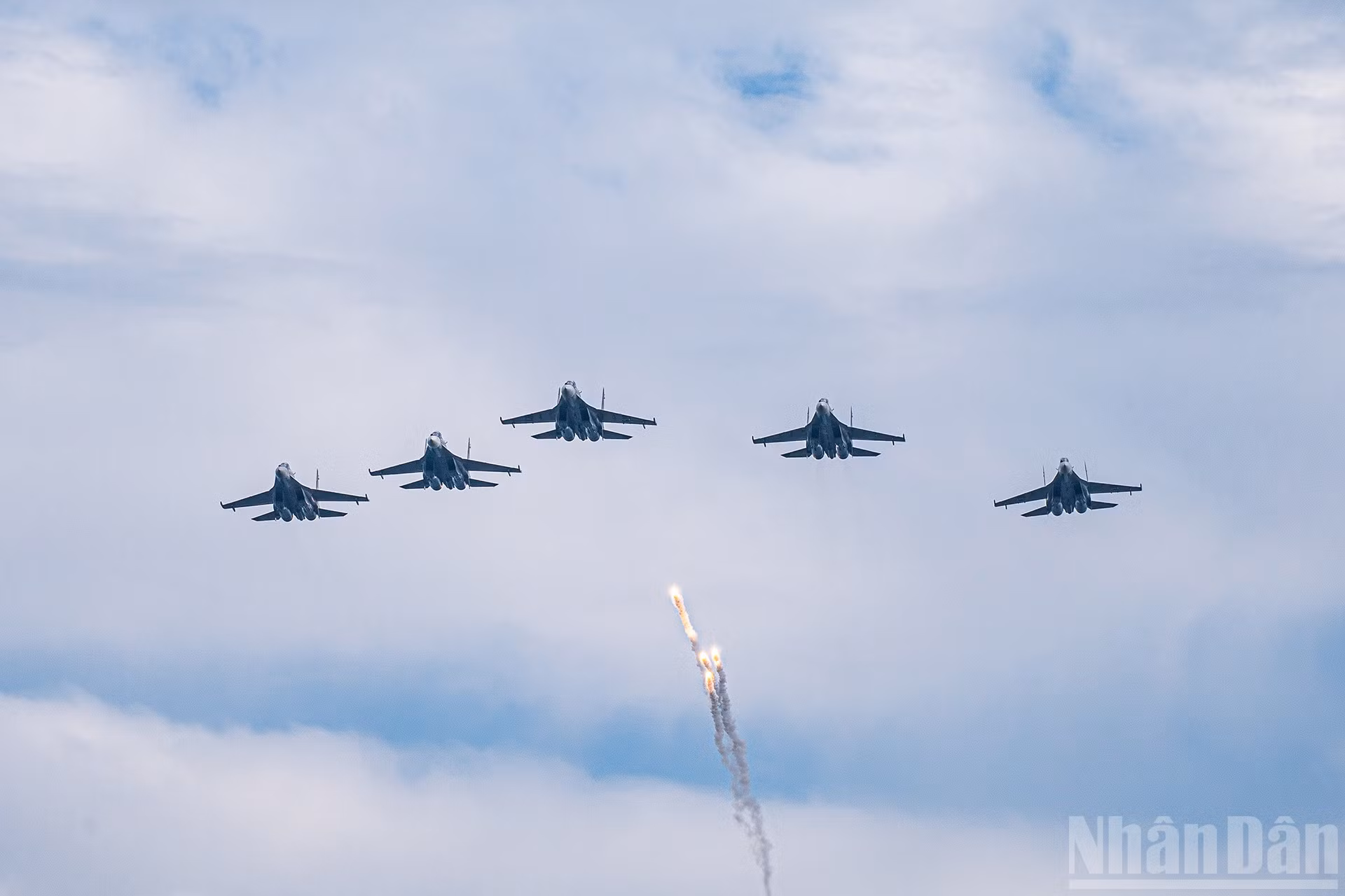 ndo_br_miu-6415.jpg