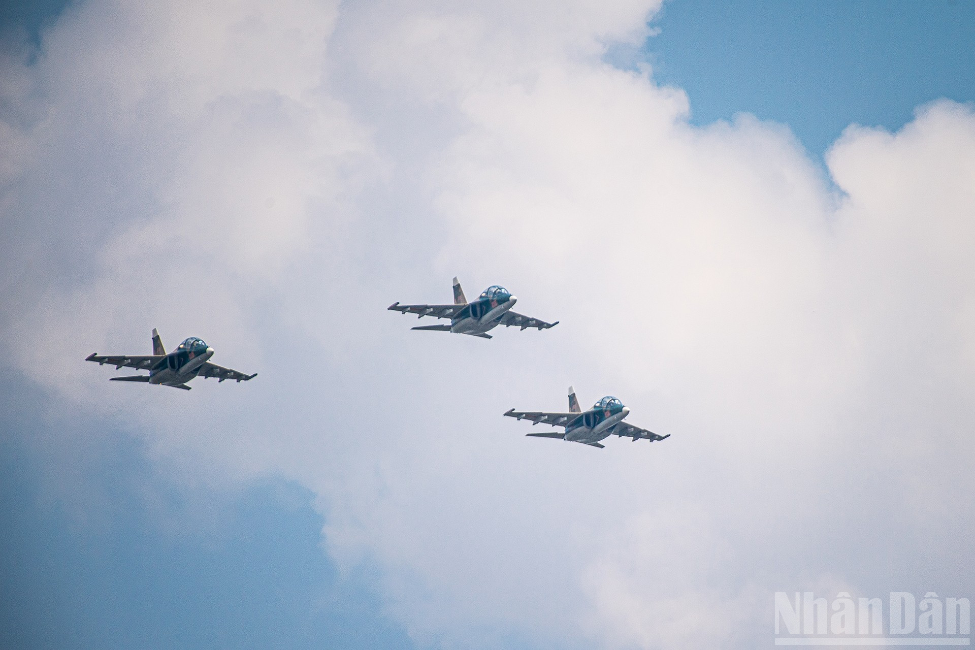 ndo_br_miu-6184.jpg