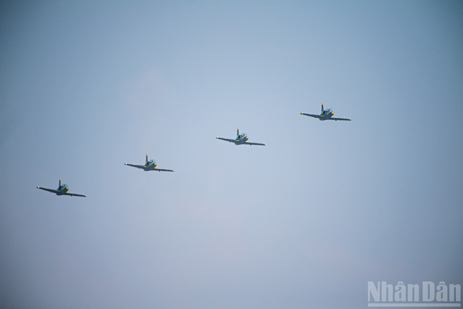 ndo_br_miu-6113.jpg