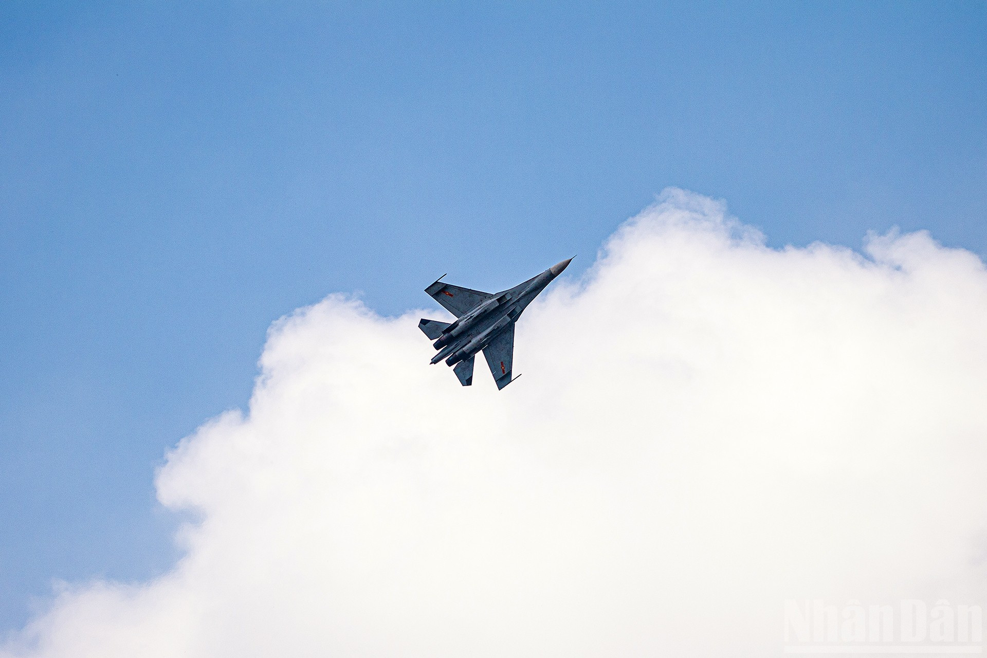 ndo_br_miu-6244.jpg