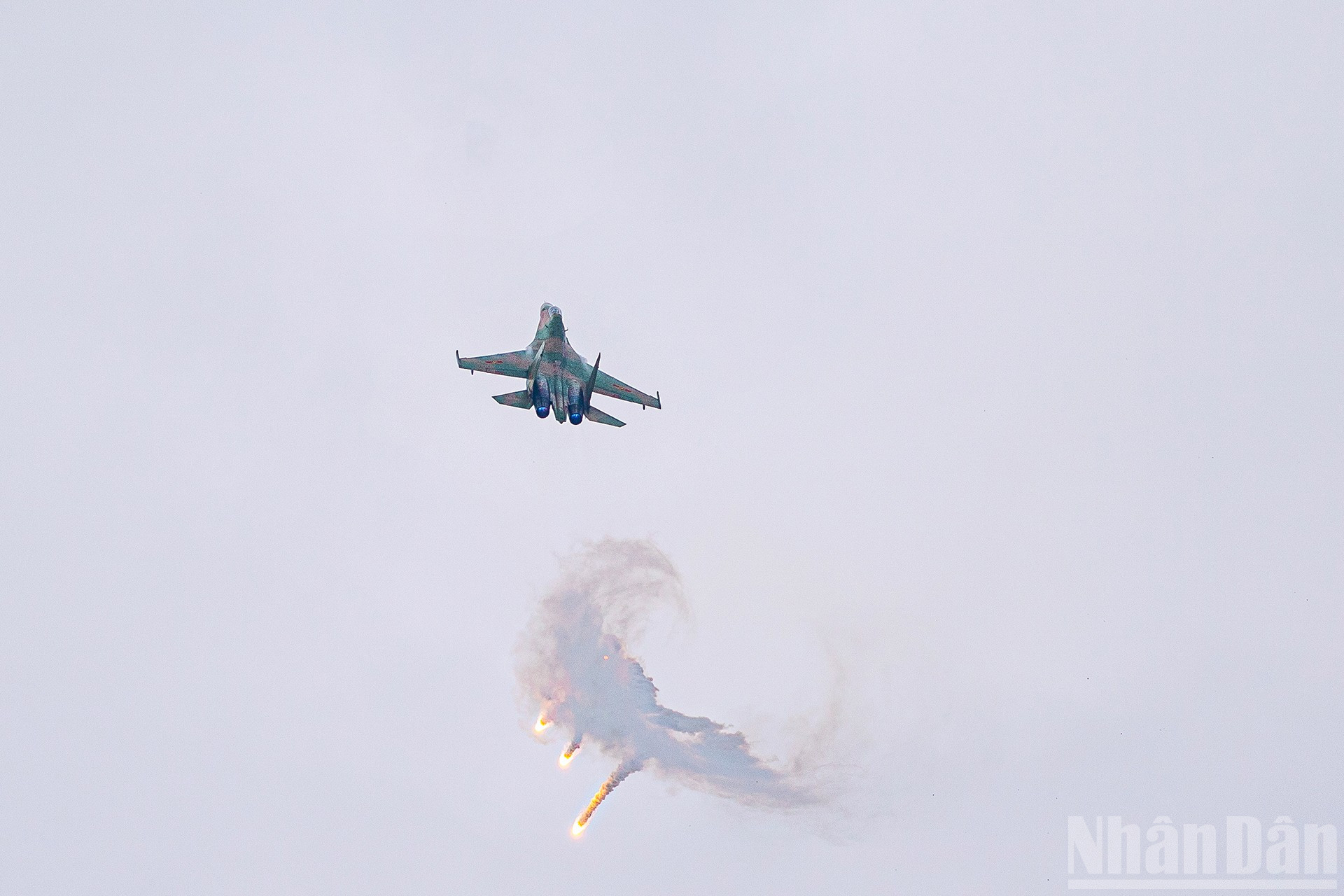 ndo_br_miu-6437.jpg