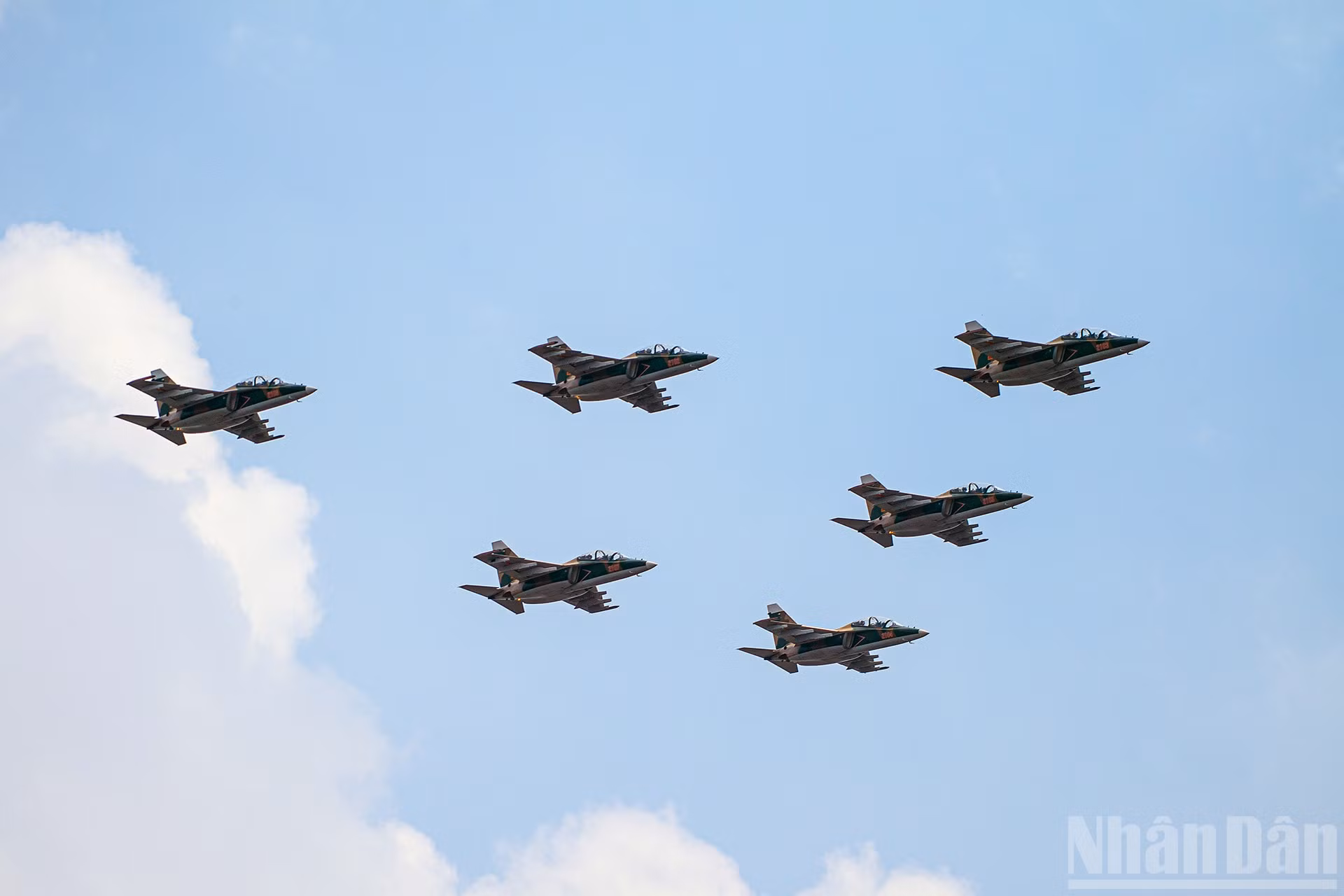 ndo_br_miu-6104.jpg