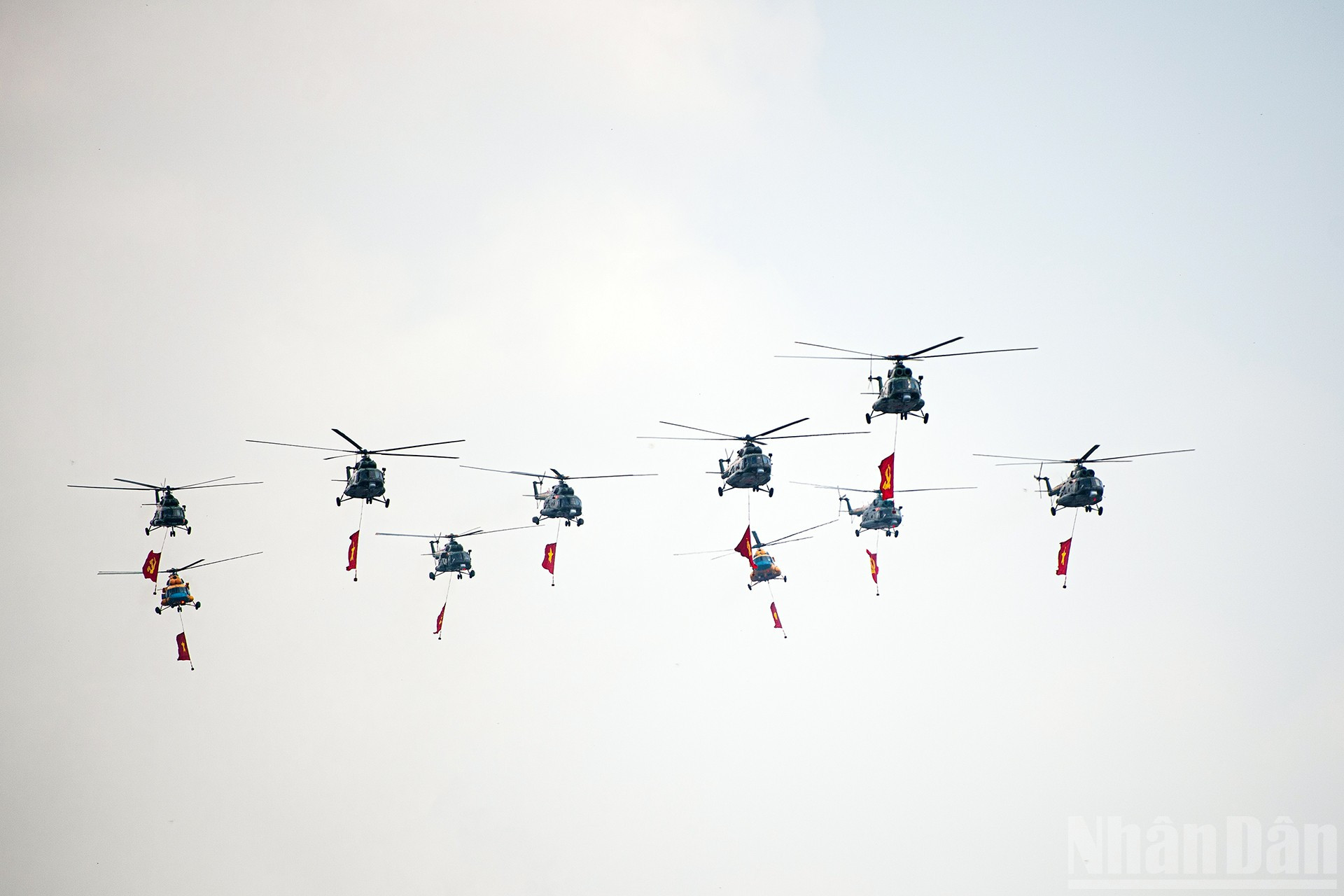 ndo_br_miu-5976.jpg