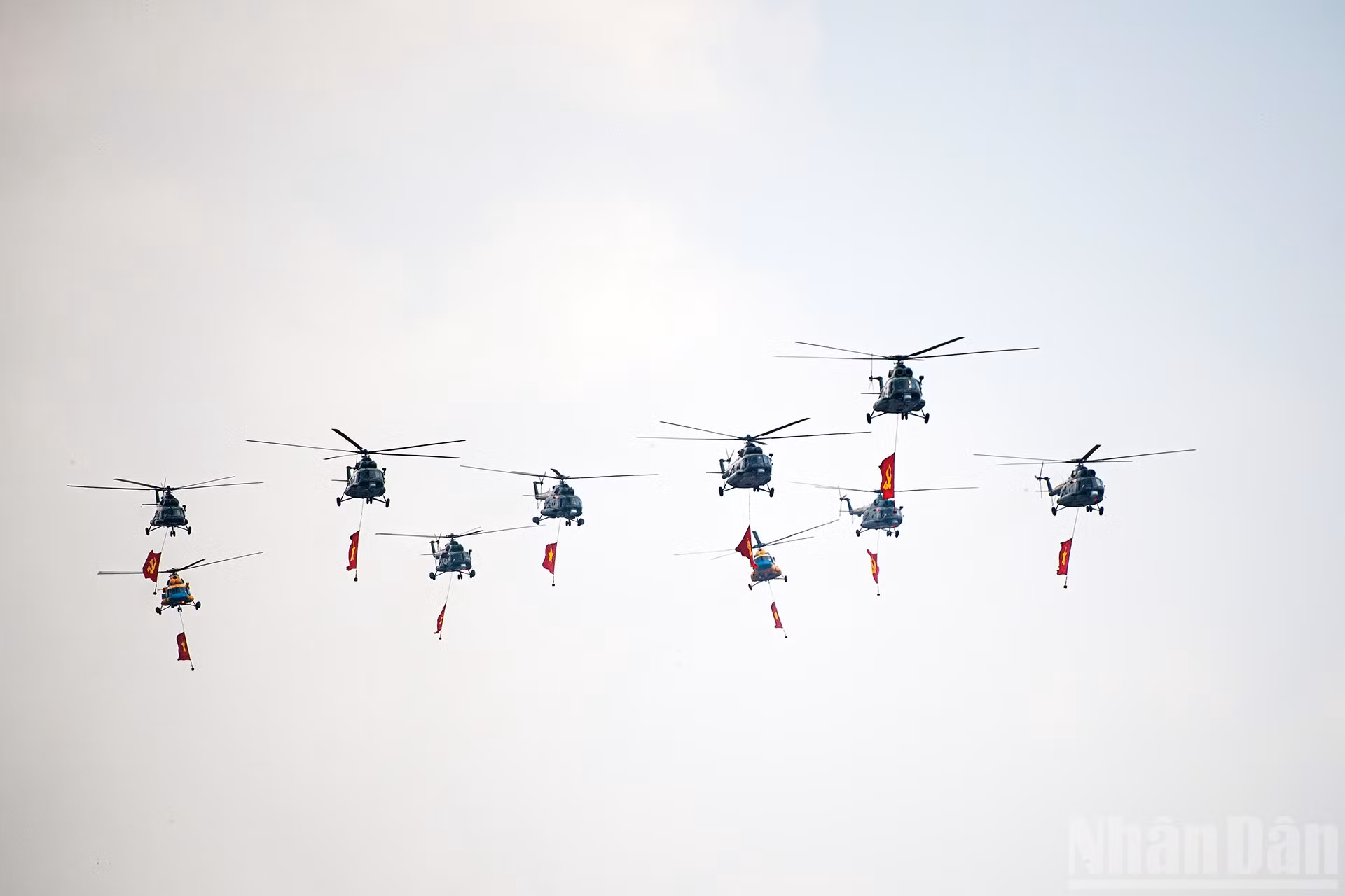 ndo_br_miu-5976.jpg