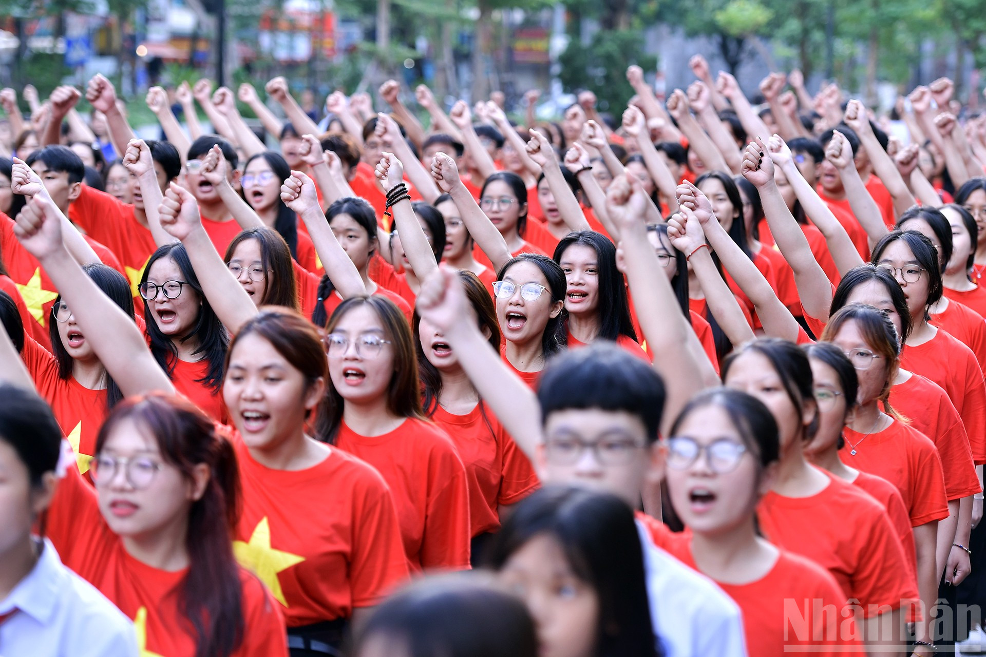 ndo_br_miu-5164.jpg