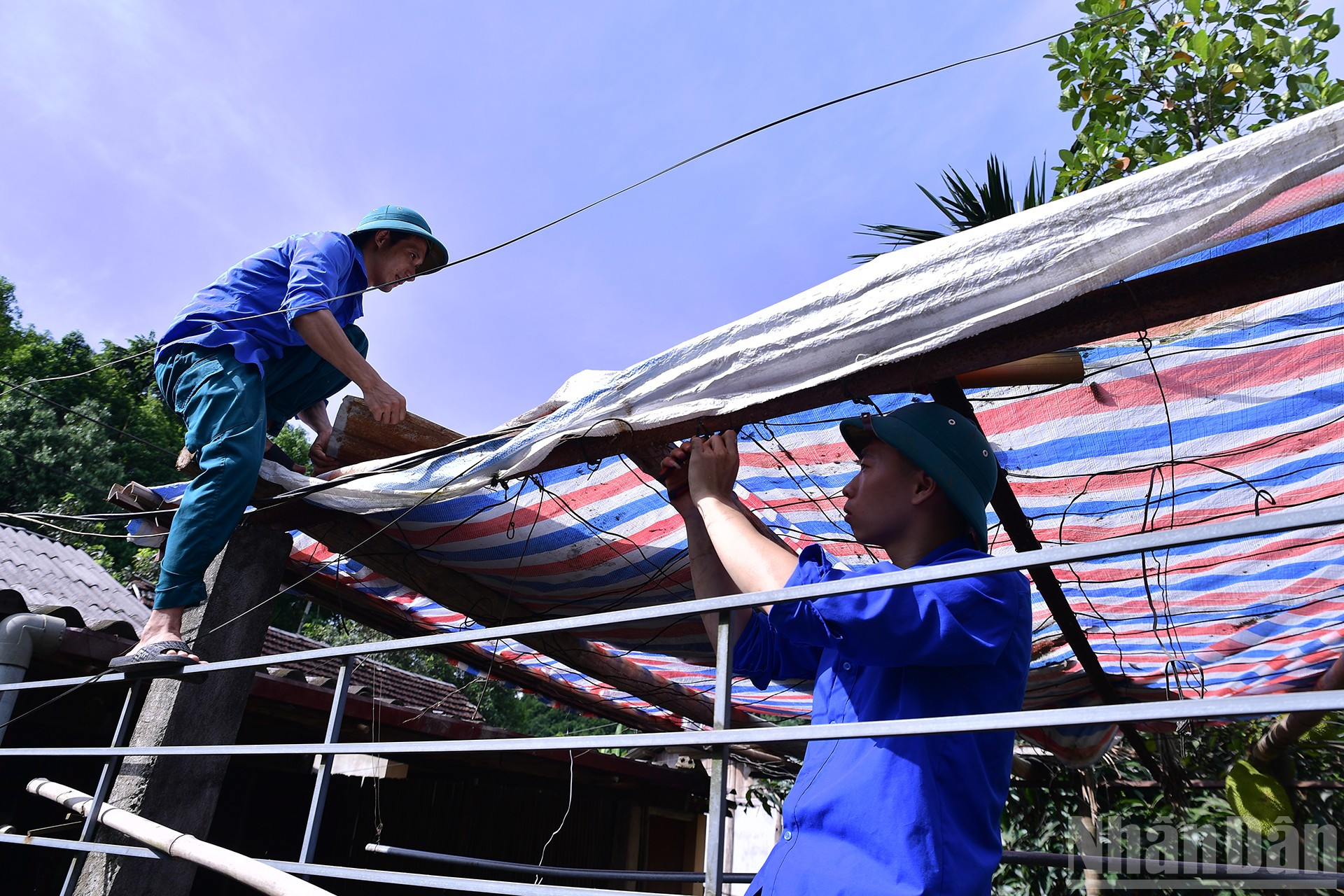 Ngay sau buổi lễ, các bạn trẻ lập tức bắt tay vào hỗ trợ các hộ dân nằm trong khu vực đường dây 500kV Lào Cai-Vĩnh Yên di dời tài sản, tháo dỡ nhà ở, chuồng trại. ndo_br_miu-3599.jpg