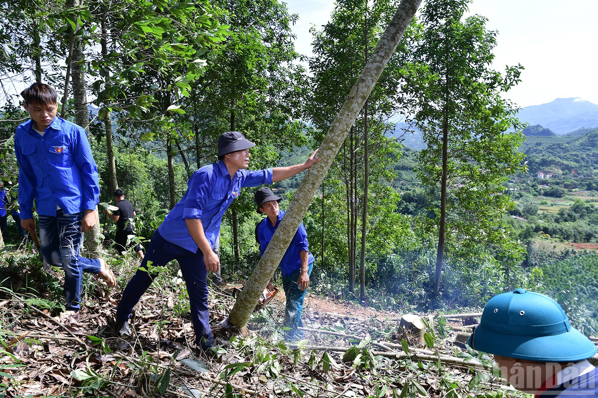 Được biết, trong thời gian tới, Hội Sinh viên các trường đại học, cao đẳng, học viện sẽ triển khai một số đội hình tình nguyện “Mùa hè xanh” tham gia hỗ trợ 31 xã nằm trong khu vực Dự án. ndo_br_miu-3724.jpg