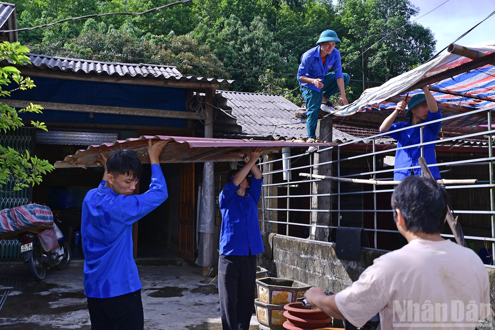 ndo_br_miu-3595.jpg