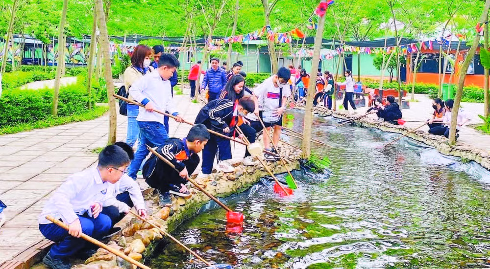 Học sinh tham gia các hoạt động trải nghiệm tại khu sinh thái Phù Đổng Green Park.