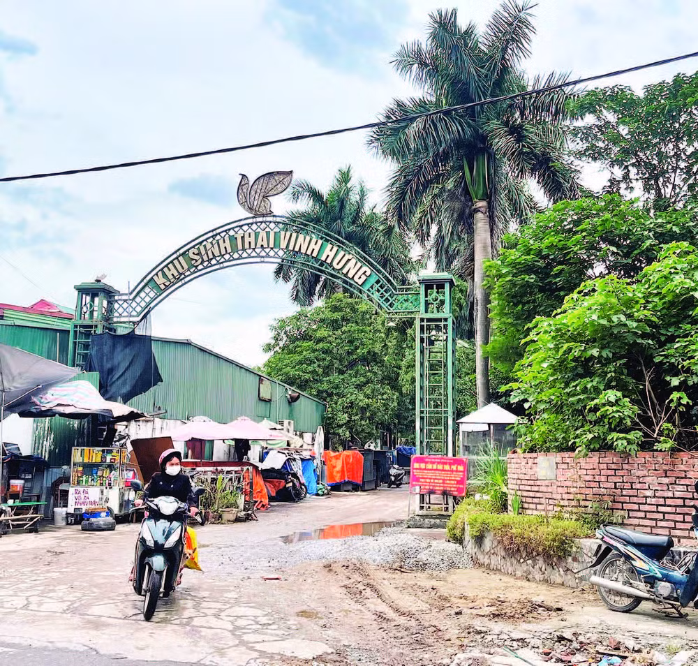 Khu sinh thái Vĩnh Hưng bỏ hoang nhiều năm.