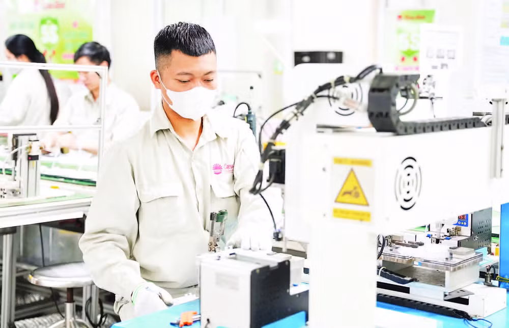 Hoạt động sản xuất tại Công ty cổ phần Bóng đèn, Phích nước Rạng Đông.