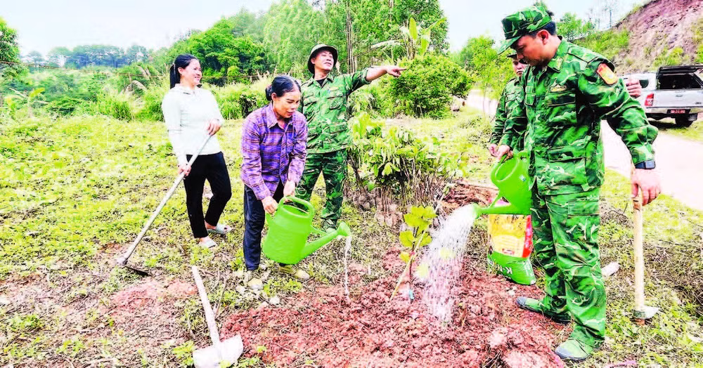 Chiến sĩ Đồn Biên phòng Cửa khẩu Chi Ma giúp nhân dân trồng ổi trong mô hình “Vườn kiểu mẫu”.