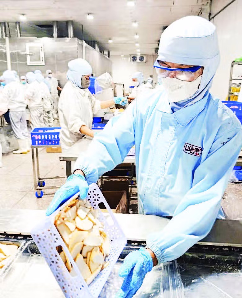Ông Nguyễn Văn Tèo sau khi bị tai nạn lao động vẫn được công ty bố trí vào làm việc bình thường.