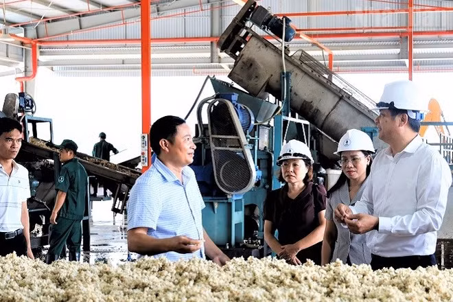 Đồng chí Lò Văn Cương (đầu tiên bên phải ảnh), Phó Chủ tịch Ủy ban nhân dân tỉnh Điện Biên kiểm tra sản xuất tại Nhà máy chế biến mủ cao-su Điện Biên. (Ảnh: LÊ LAN)