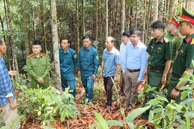 Bí thư chi bộ bản Huổi Pinh Thào Seo Sùng (đầu tiên bên trái) đang giới thiệu quy mô vườn quế của gia đình với cán bộ, nhân dân địa phương. (Ảnh: ĐỨC HẠNH)