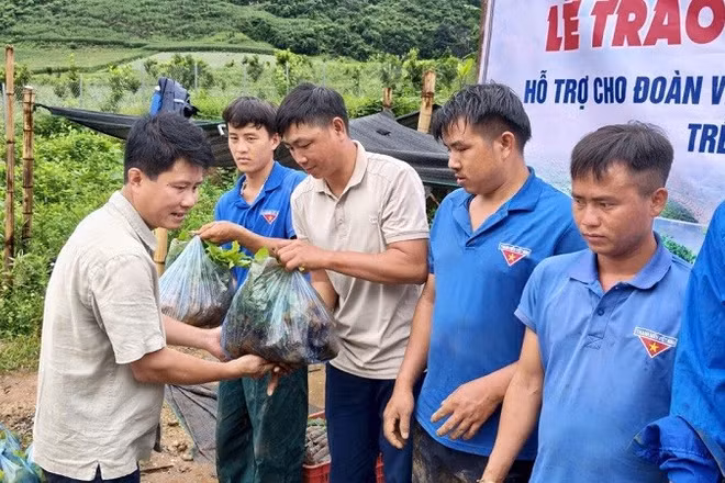 Lãnh đạo xã Pú Nhung (tỉnh Điện Biên) trao cây giống cà-phê hỗ trợ các đoàn viên hoàn cảnh khó khăn để trồng, mở rộng diện tích.