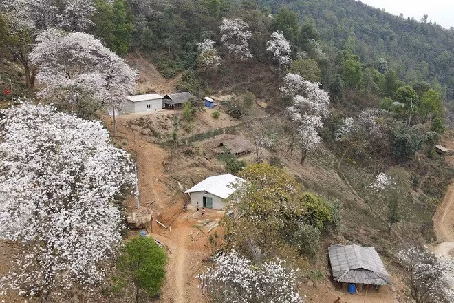 Là vùng đất có nhiều hoa ban - loài hoa đặc trưng của núi rừng Tây Bắc, bởi vậy tỉnh Điện Biên thường tổ chức Lễ hội Hoa Ban vào dịp tháng 3 hằng năm, khi hoa ban bung nở khắp núi đồi. 