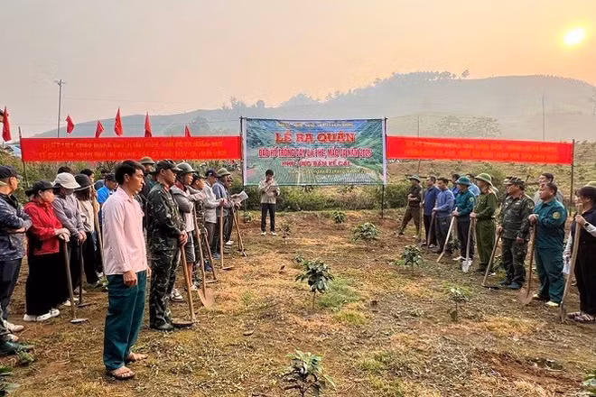 Cán bộ, nhân dân xã Pú Nhung hưởng ứng lễ phát động ra quân đào hố trồng cây cà-phê, mắc-ca. 