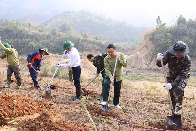 Các đồng chí lãnh đạo cùng nhân dân xã Na Son hưởng ứng Lễ phát động đào hố trồng cây mắc-ca, cà-phê trên địa bàn.