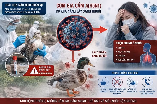 Điện Biên kêu gọi chủ động phòng, chống virus cúm A (H5N1) - chủng vi-rút cúm gia cầm có khả năng lây nhiễm sang người.