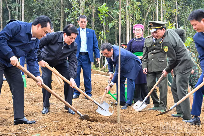 Chủ tịch nước Lương Cường và các đại biểu trồng cây tại Lễ phát động “Tết trồng cây đời đời nhớ ơn Bác Hồ” Xuân Bính Ngọ.