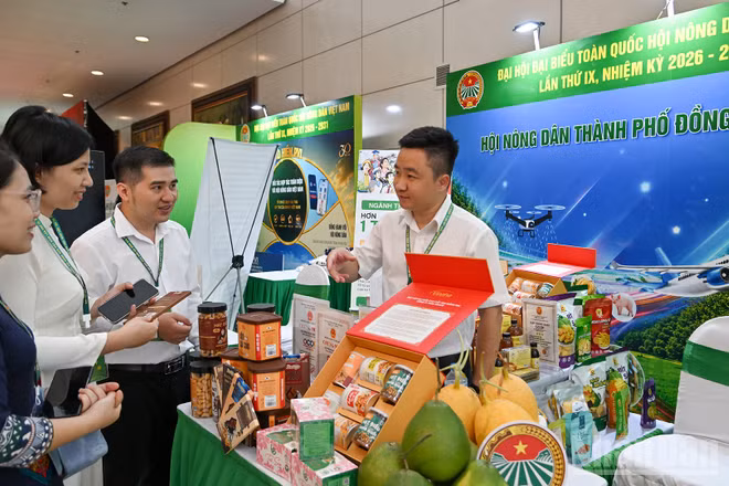 Các đại biểu tìm hiểu về sản phẩm nông nghiệp địa phương tại gian trưng bày của Hội Nông dân thành phố Đồng Nai.