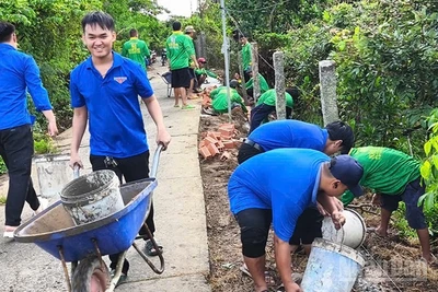Đoàn viên, thanh niên xã Tân Khánh Trung dặm vá tuyến đường.