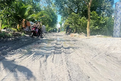 Dự án đường bờ đông kênh Kỳ Son có chiều dài tuyến hơn 8,1km, mặt đường nhựa rộng 5,5m (bắt đầu từ đường nhựa bờ bắc kênh Nguyễn Văn Tiếp và kết thúc tại đường bờ nam kênh An Phong Mỹ Hòa).