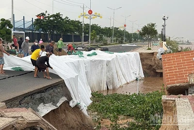 Khắc phục tạm thời vụ sạt lở tại công trình kè Thường Thới Tiền.