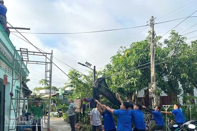 Chính quyền địa phương xã Tân Khánh Trung cùng bà con dọn dẹp, khắc phục hậu quả sau dông lốc, mưa lớn.