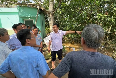 Bí thư Đảng ủy phường Sa Đéc (thứ 2 từ phải qua) Nguyễn Phước Thiện chỉ đạo các ngành triển khai ngay phương án khắc phục các đoạn đê bị vỡ.