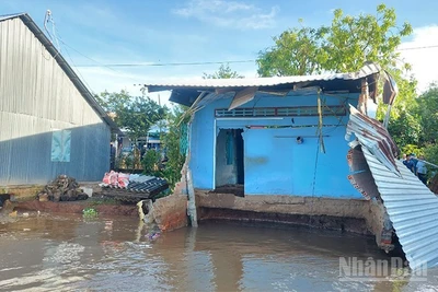 Hiện trường vụ sạt lở tại khóm Tân Tịch, phường Cao Lãnh, tỉnh Đồng Tháp.