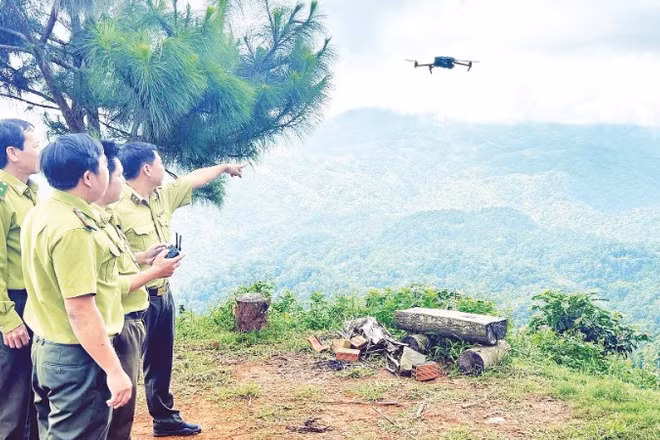 Các đơn vị chủ rừng và hạt kiểm lâm ứng dụng flycam để quan sát, quản lý và bảo vệ rừng tại Lâm Đồng.